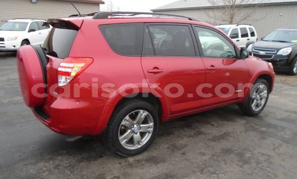 Buy Used Toyota RAV4 Red Car in Kigali in Rwanda Buy Used Toyota RAV4 Red Car in Kigali in Rwanda
