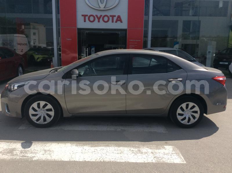 Big with watermark 11559201658120382 ee.pic