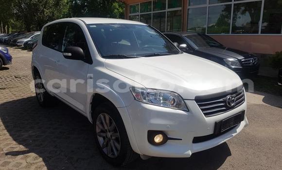 Buy Used Toyota RAV4 White Car in Kigali in Rwanda Buy Used Toyota RAV4 White Car in Kigali in Rwanda