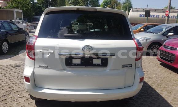 Buy Used Toyota RAV4 White Car in Kigali in Rwanda Buy Used Toyota RAV4 White Car in Kigali in Rwanda