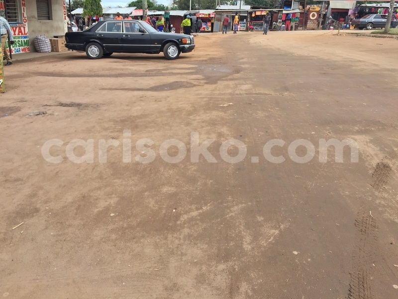 Big with watermark img 0214