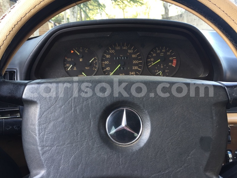 Big with watermark img 1674