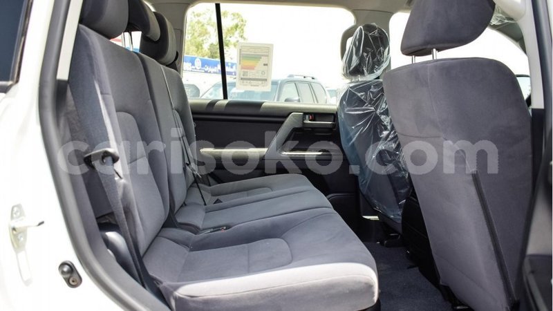 Big with watermark 8