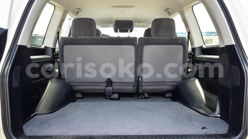 Big with watermark 12