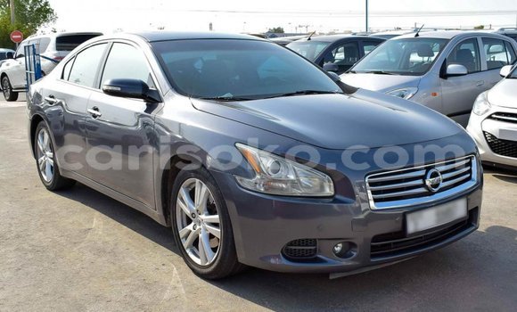 Acheter Import Voiture Nissan Maxima Autre à Import - Dubai, Rwanda Acheter Import Voiture Nissan Maxima Autre à Import - Dubai, Rwanda