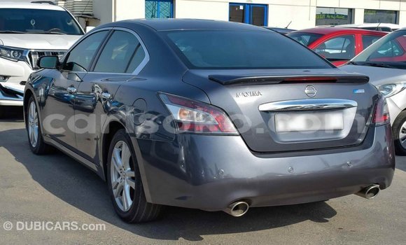 Acheter Import Voiture Nissan Maxima Autre à Import - Dubai, Rwanda Acheter Import Voiture Nissan Maxima Autre à Import - Dubai, Rwanda