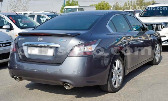 Acheter Import Voiture Nissan Maxima Autre à Import - Dubai, Rwanda Acheter Import Voiture Nissan Maxima Autre à Import - Dubai, Rwanda