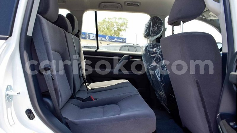 Big with watermark 7