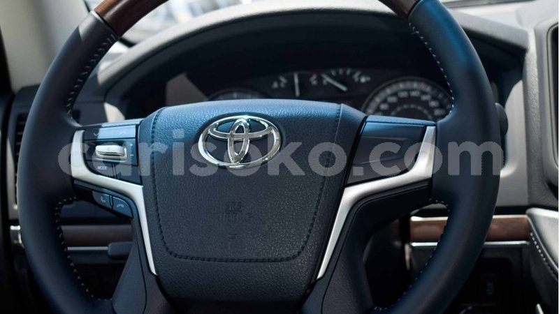 Big with watermark 11