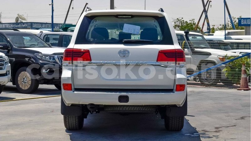 Big with watermark 14