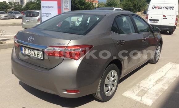 Buy Used Toyota Corolla Other Car in Kigali in Rwanda Buy Used Toyota Corolla Other Car in Kigali in Rwanda