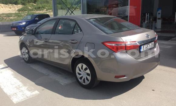 Buy Used Toyota Corolla Other Car in Kigali in Rwanda Buy Used Toyota Corolla Other Car in Kigali in Rwanda