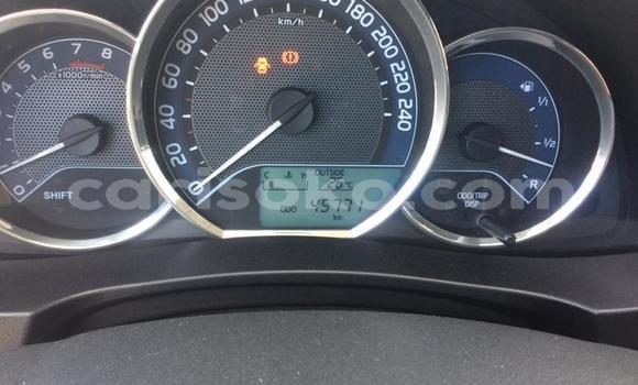 Buy Used Toyota Corolla Other Car in Kigali in Rwanda Buy Used Toyota Corolla Other Car in Kigali in Rwanda