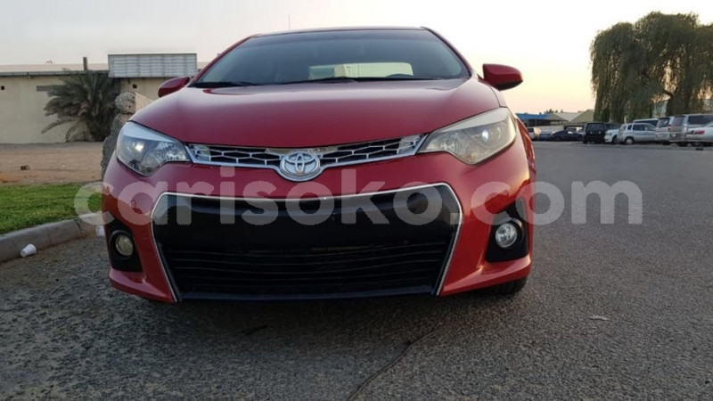 Big with watermark b014f202a76f0df3e46adecb4bfeda82