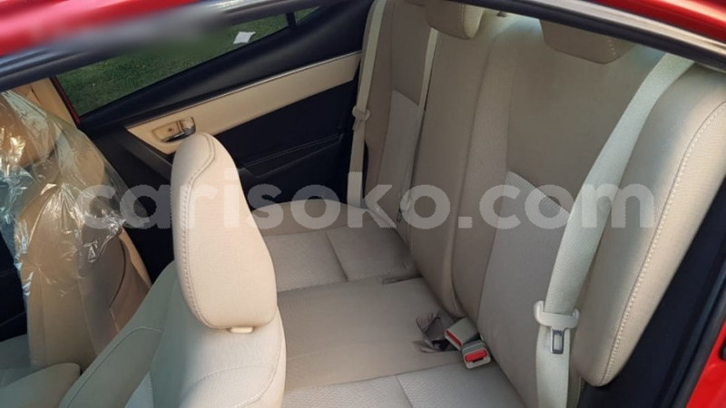 Big with watermark 2d33374568a04f1ff81bf61b6adf53a4