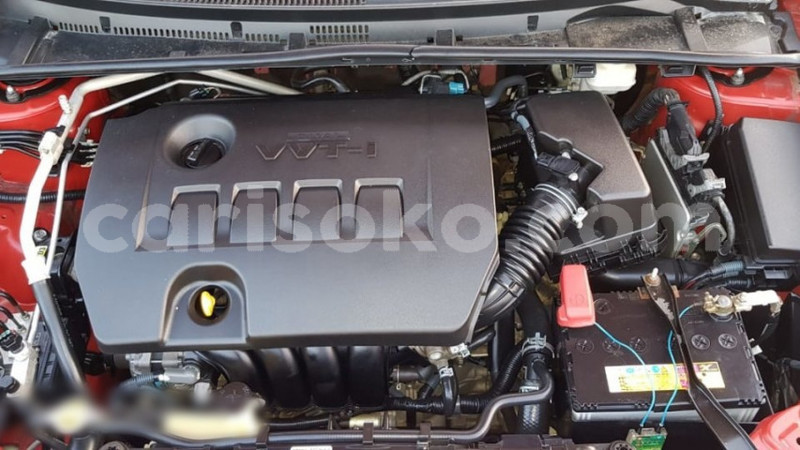 Big with watermark 9a6f69982b64938514fe351466e02c33