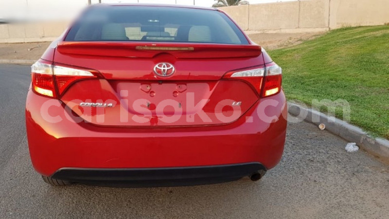 Big with watermark 223e10ce23b12da124eecca329ea0aa9