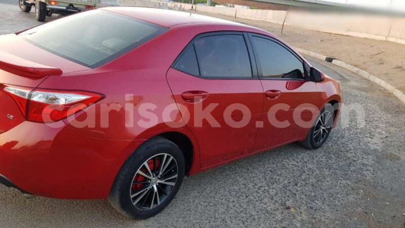 Big with watermark c5f9a9b4c3e706817af5f5fee151b2a8