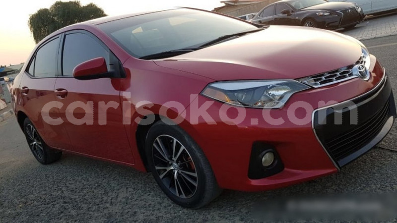 Big with watermark f