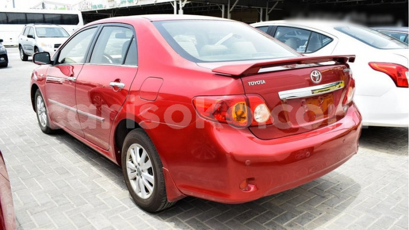 Big with watermark cf957d828c7b15f82d6427dfc5cf285a