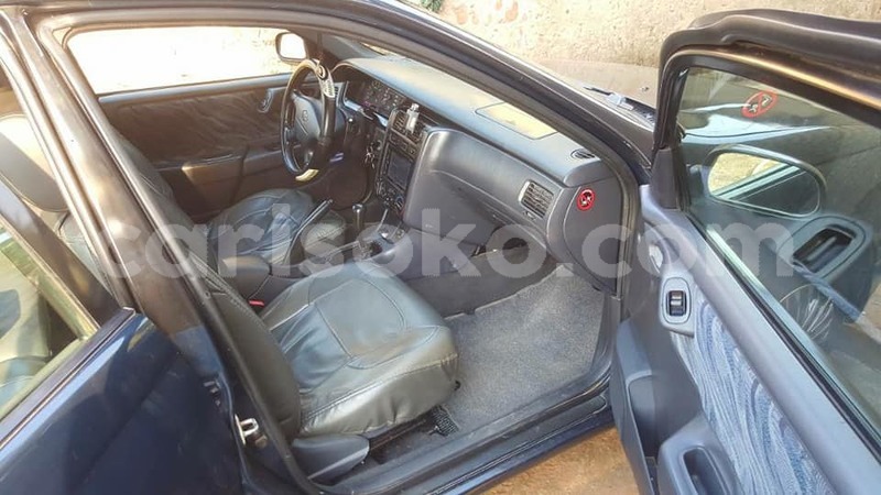 Big with watermark antoinette 0788400153 carina e 1998 5andhalfm 0786351451 4