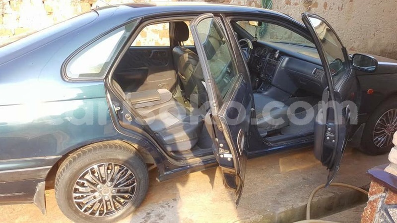 Big with watermark antoinette 0788400153 carina e 1998 5andhalfm 0786351451