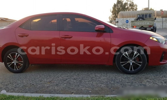 اشتري مستعمل Toyota Corolla Rouge سيارة في Gitarama في Gitarama اشتري مستعمل Toyota Corolla Rouge سيارة في Gitarama في Gitarama