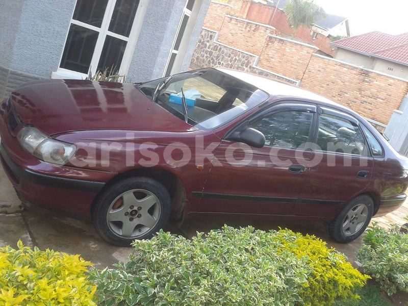 Big with watermark carina e josue 0788685602 3 3m 2