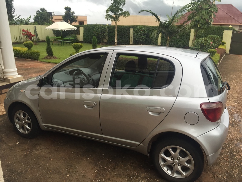 Big with watermark image