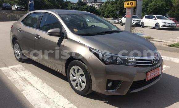 Buy Used Toyota Corolla Other Car in Kigali in Rwanda Buy Used Toyota Corolla Other Car in Kigali in Rwanda