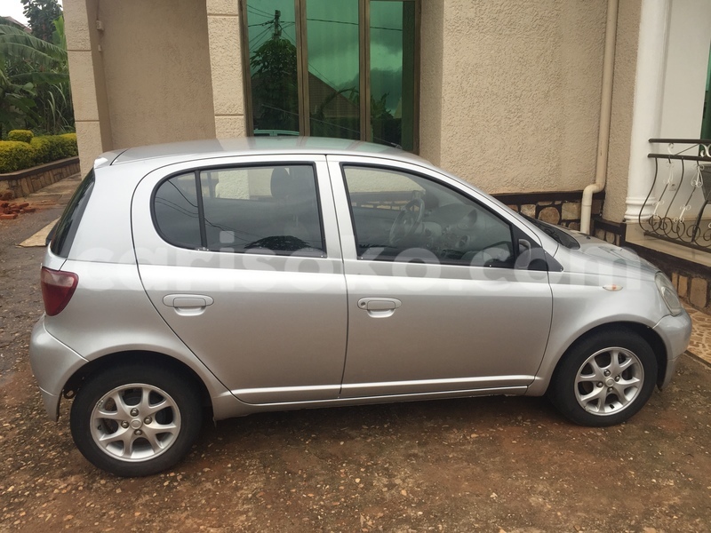 Big with watermark image