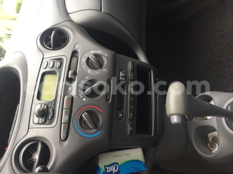 Big with watermark image