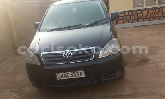 Acheter Occasion Voiture Toyota Ipsum Noir à Kigali, Rwanda Acheter Occasion Voiture Toyota Ipsum Noir à Kigali, Rwanda