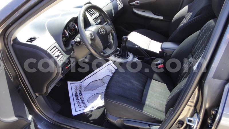 Big with watermark 1367851491