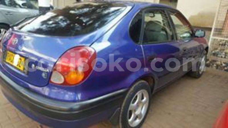 Big with watermark 66069019 229238511387067 7688015799419666432 n