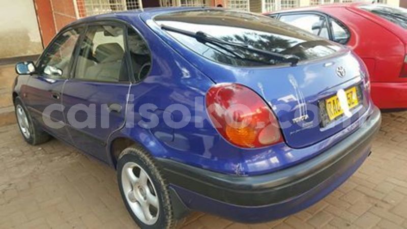 Big with watermark 66250703 229238494720402 1953306278172295168 n