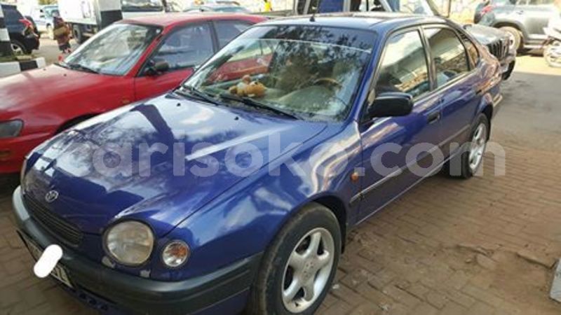 Big with watermark 66171458 229238478053737 1353651061792964608 n