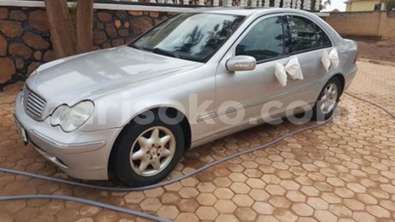 Big with watermark 66219144 229193654724886 4608574048333463552 n