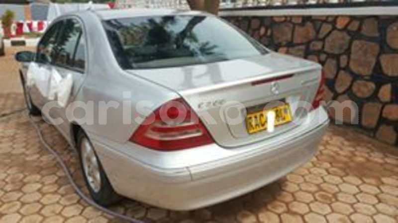 Big with watermark 66425787 229193674724884 8513171818339631104 n