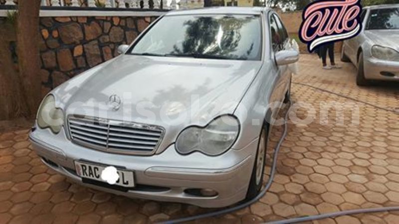 Big with watermark 66111005 229193638058221 8366439814064504832 n