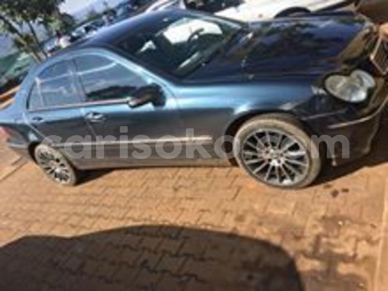 Big with watermark 65858369 229179314726320 8174588211977256960 n