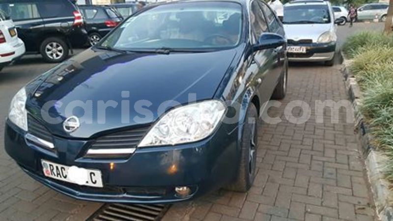 Big with watermark 65858366 229023751408543 9181476503488036864 n