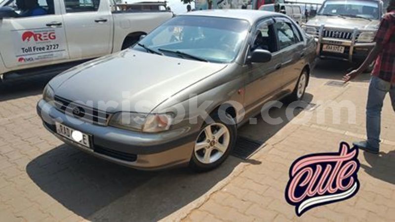 Big with watermark 66153790 229005611410357 646857748775960576 n