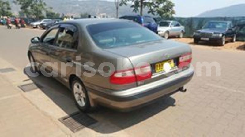 Big with watermark 65866588 229005628077022 6935358618002784256 n