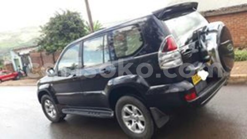 Big with watermark 65953243 228613641449554 6660659025216012288 n