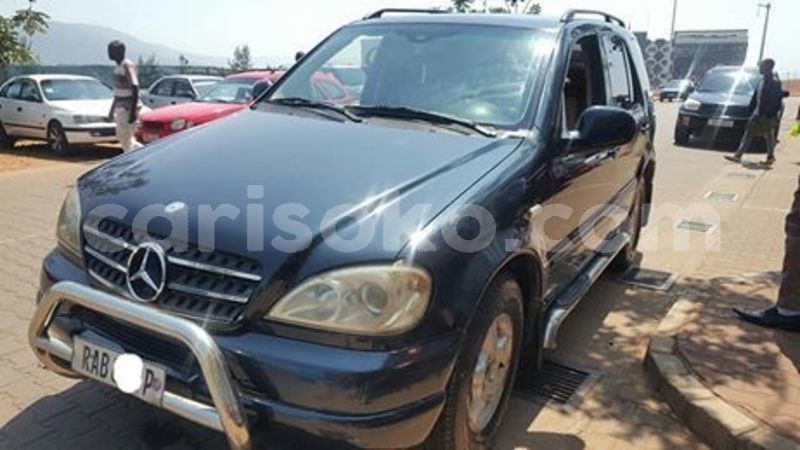 Big with watermark 66221219 228373531473565 4286922362693091328 n