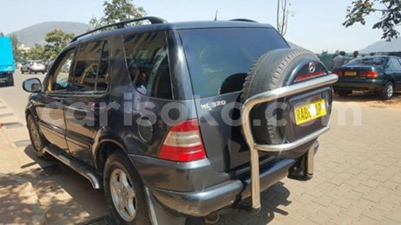 Big with watermark 66020068 228373548140230 5354640606729601024 n