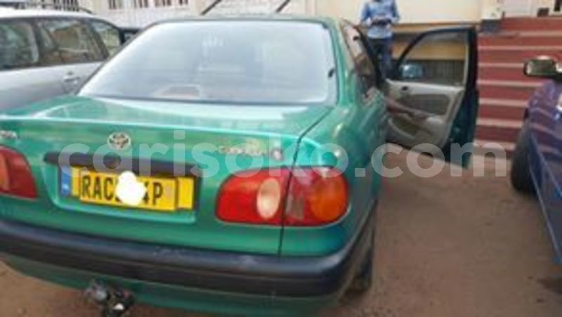 Big with watermark 65852658 228221464822105 3129026560108003328 n