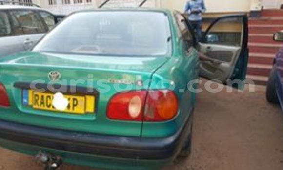 Buy Used Toyota Corolla Green Car in Kigali in Rwanda Buy Used Toyota Corolla Green Car in Kigali in Rwanda