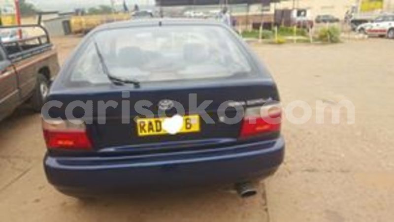 Big with watermark 65846239 228196441491274 335760979625246720 n